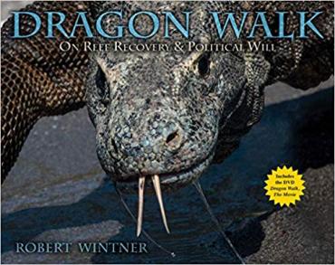 Dragon Walk